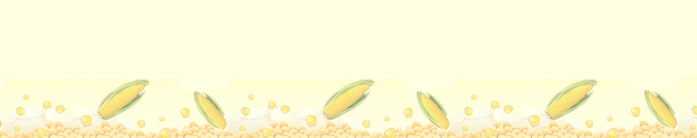 Sahachol Food Supplies Co., Ltd.