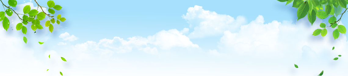 Sahachol Food Supplies Co., Ltd.