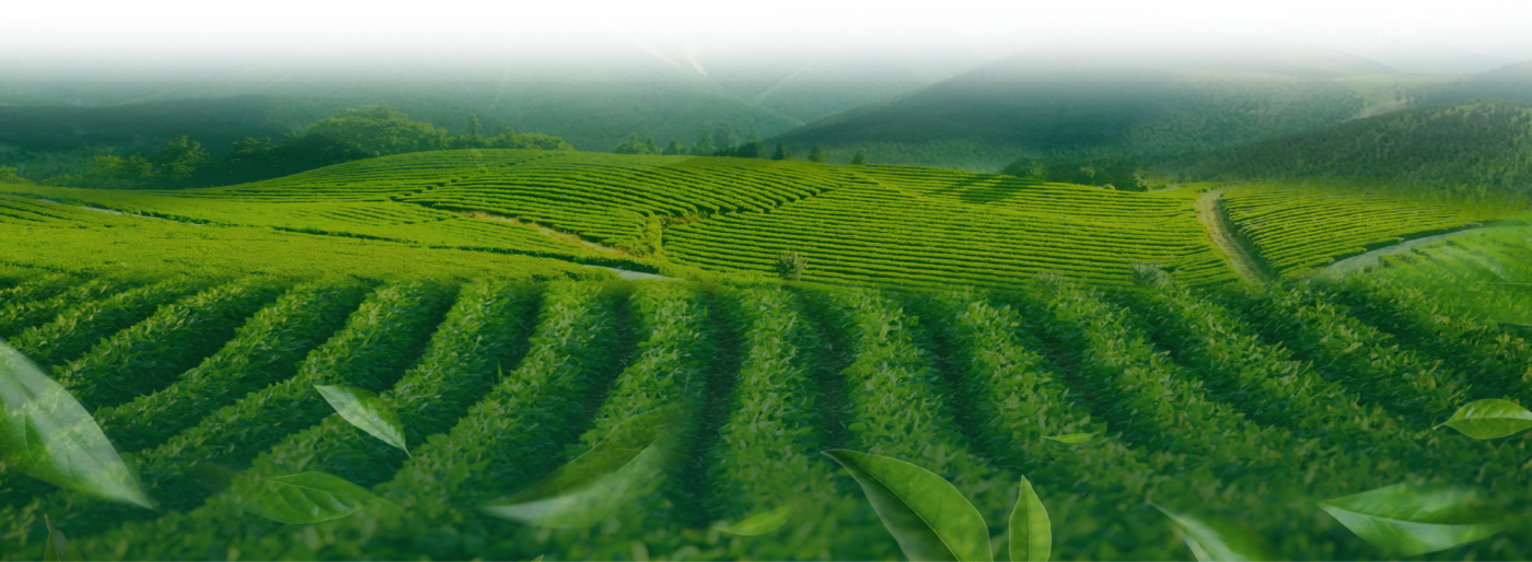 Sahachol Food Supplies Co., Ltd.